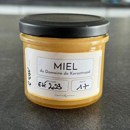 Domaine De Kerantroad Villa Plonévez-Porzay Kültér fotó